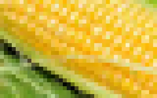 Megaton F1 / Мегатон F1