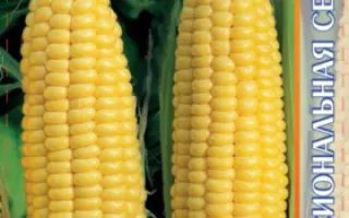 Merkur F1 / Меркур F1