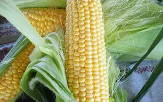 Messenger / Мессенджер