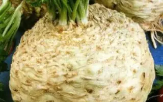 Monarh / Монарх