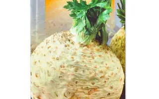 Monarh / Монарх