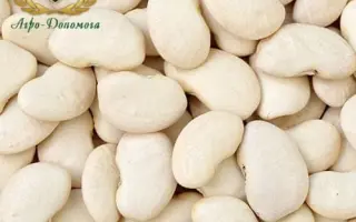 Надия / Надія