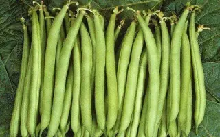 Nagano / Нагано