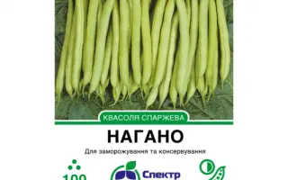 Navajo / Наваджо