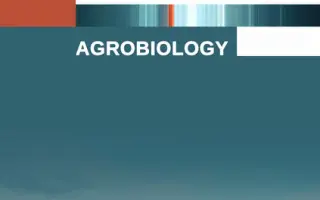 Несподіванка