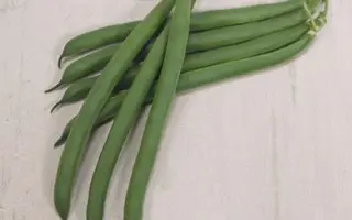 OUTLAW / ОУТЛАВ