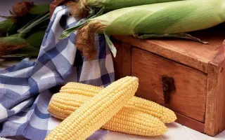 Overland F1 / Оверленд F1