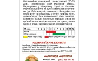 Pantera / Пантера