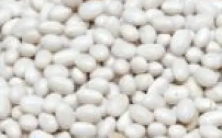 Первомайская / Первомайська