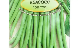 Pop Top / Поп Топ