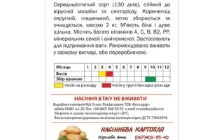 President / Президент