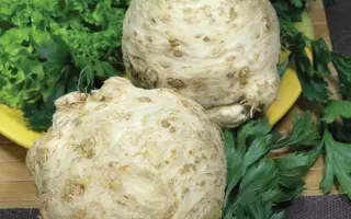 President / Президент