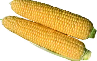 Royalty F1 / Роялті F1