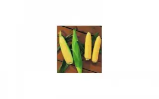 Rustler F1 / Растлер F1