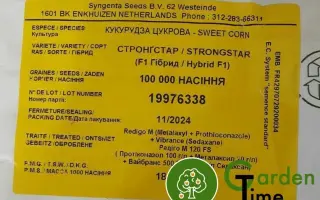 STRONGSTAR / СТРОНГСТАР