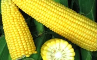 SV1514SK / СВ1514СК