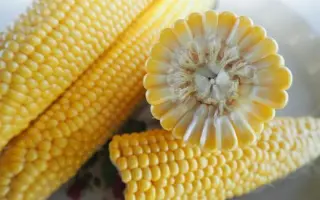 SV1514SK / СВ1514СК