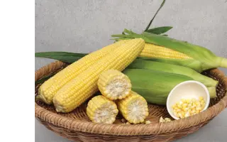 Sherbet / Шербет