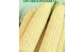 Снігова королева F1