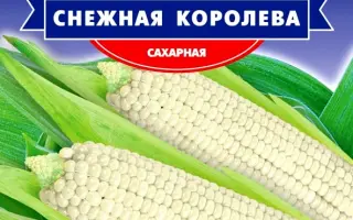 Снігова королева F1