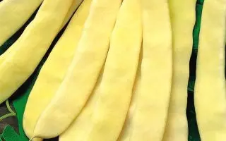 Supernano giallo / Супернано джалло