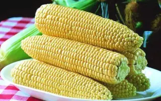 Sweet spirit / Світ Спіріт