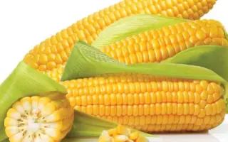 Sweetstar F1 / Світстар F1