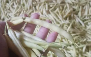 Unidor / Унідор