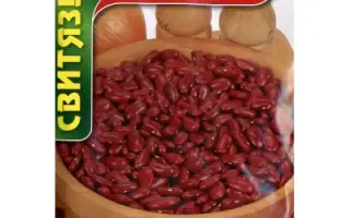 Wawelska / Вавельська