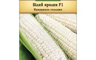 White Rabbit / Білий Кролик