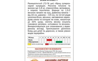 White Rabbit / Білий Кролик