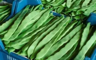 Юбилейная 250 / Ювілейна 250