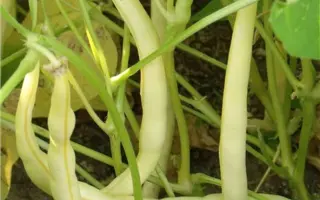 Юбилейная 287 / Ювілейна 287