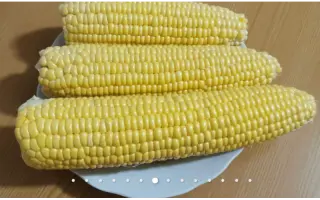 ZEATON / Зеатон