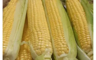 ZHY1016OX / ЖИ1016ОХ