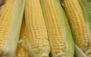 ZHY1016OX / ЖИ1016ОХ