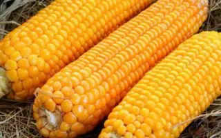 ZPSC 311 su / ЗПСК 311 су