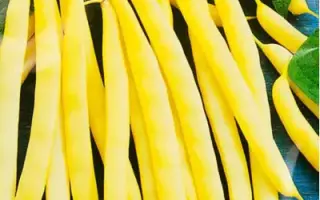 Zagadka / Загадка