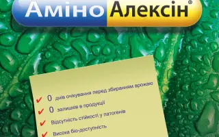 АміноАлексін