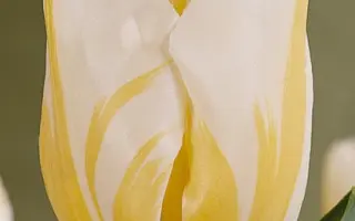 Alfred Heineken / Альфред Хейнекен