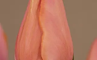 Anastasia / Анастасия