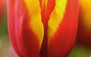 Andre Citroen / Андрэ Ситроэн