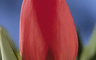 Apeldoorn / Аплдорн