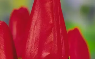 Avenue / Авенью