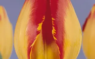 Banja Luka / Баня Лука