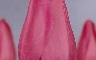 Barcelona / Барселона