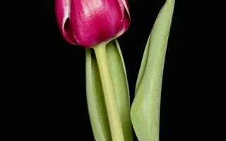 Barramansa / Барраманса