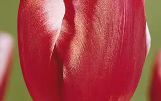 Broadway / Бродвей