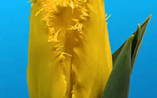 Business Class / Бизнес Класс