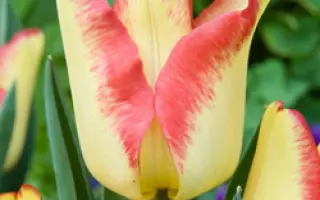 Cape Town / Кейп Таун